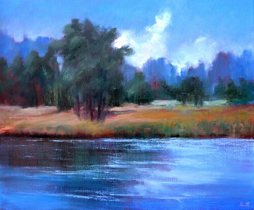 Beautiful coast Elena Lukina