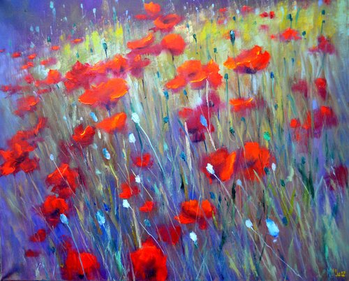 Field poppies de Elena Lukina, Pintura a la venta en Singulart