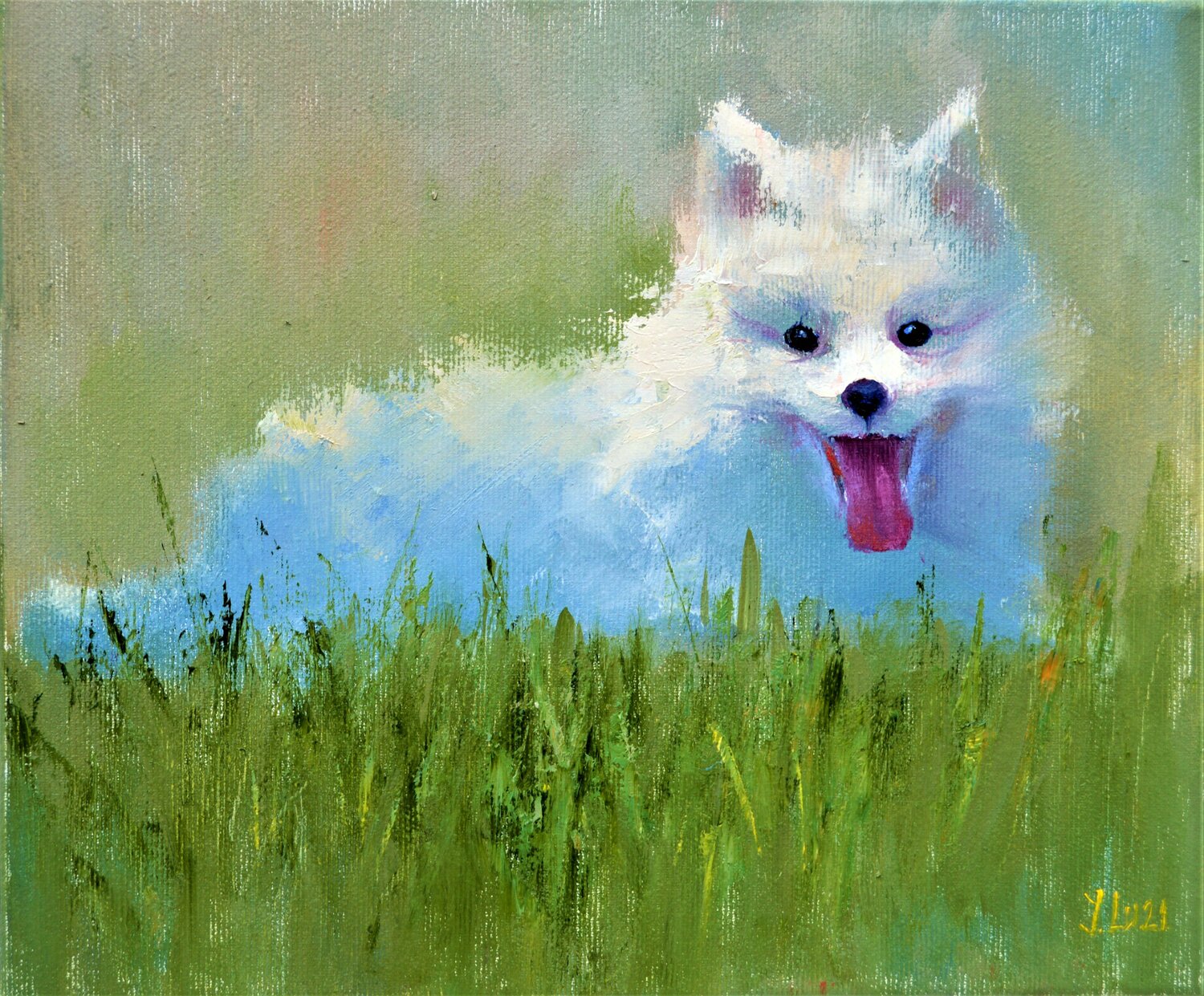 Japanese Spitz puppy Elena Lukina