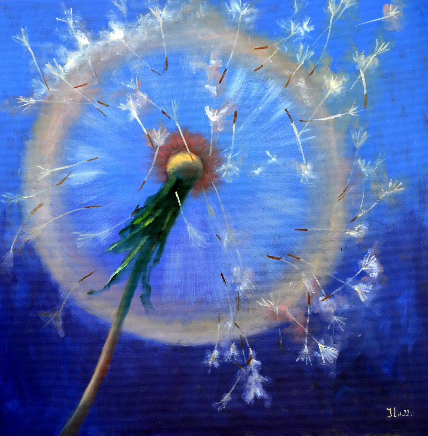 Dandelions in flight Elena Lukina