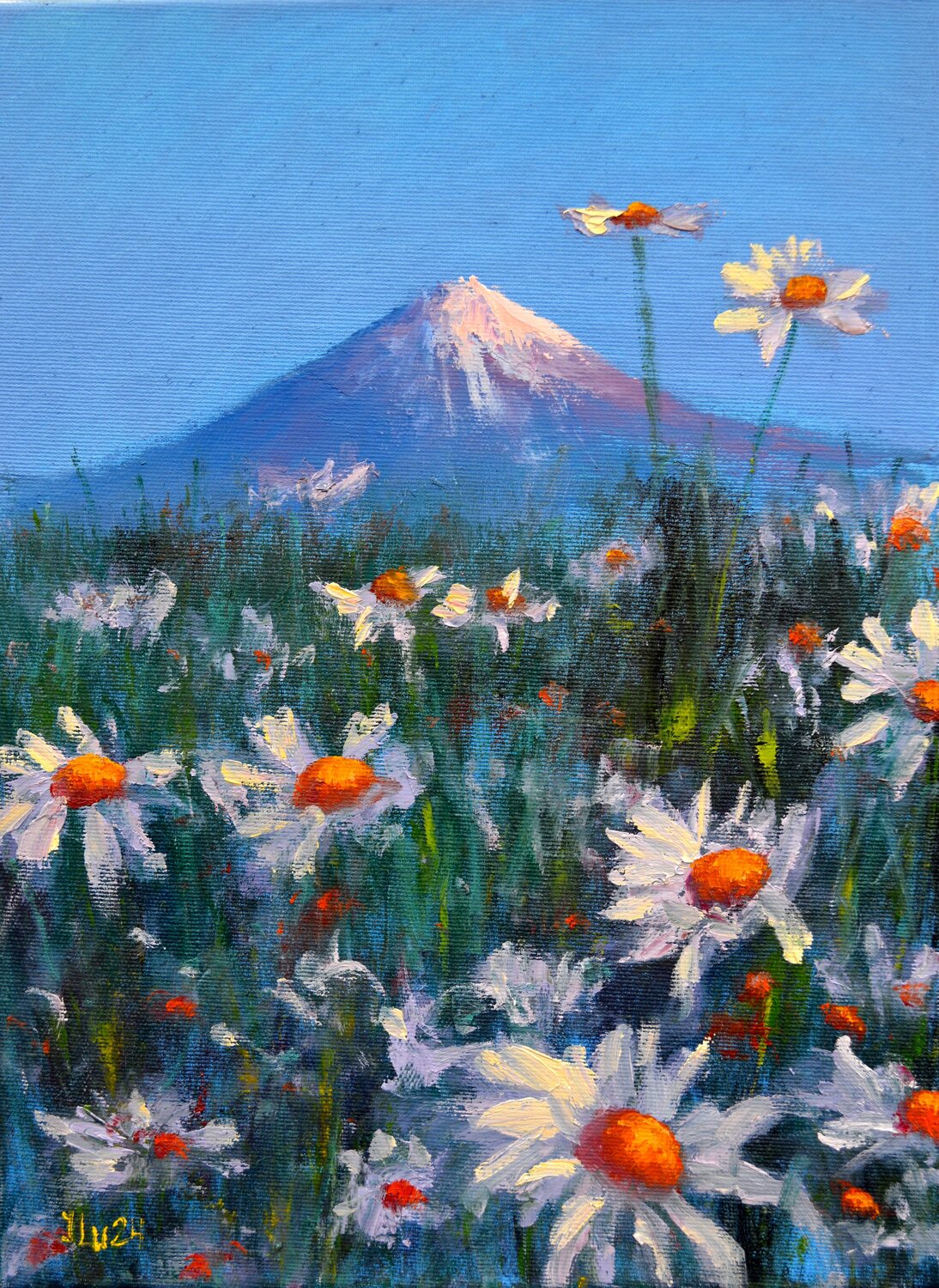 Japanese meadow daisies 40X30 Elena Lukina
