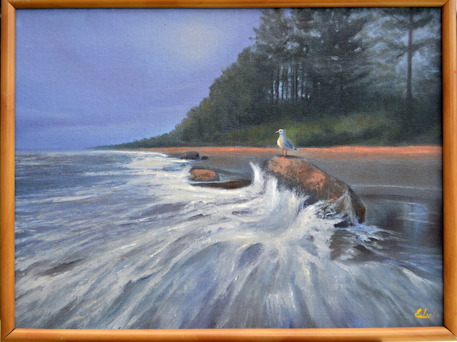 Baltic seacoast Elena Lukina
