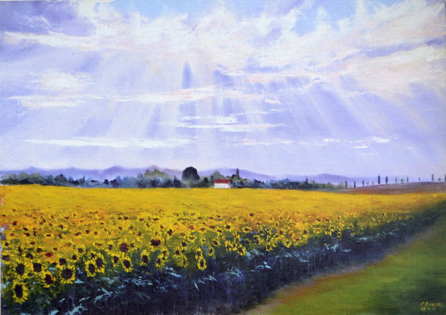 Under the sun 30X40 Elena Lukina