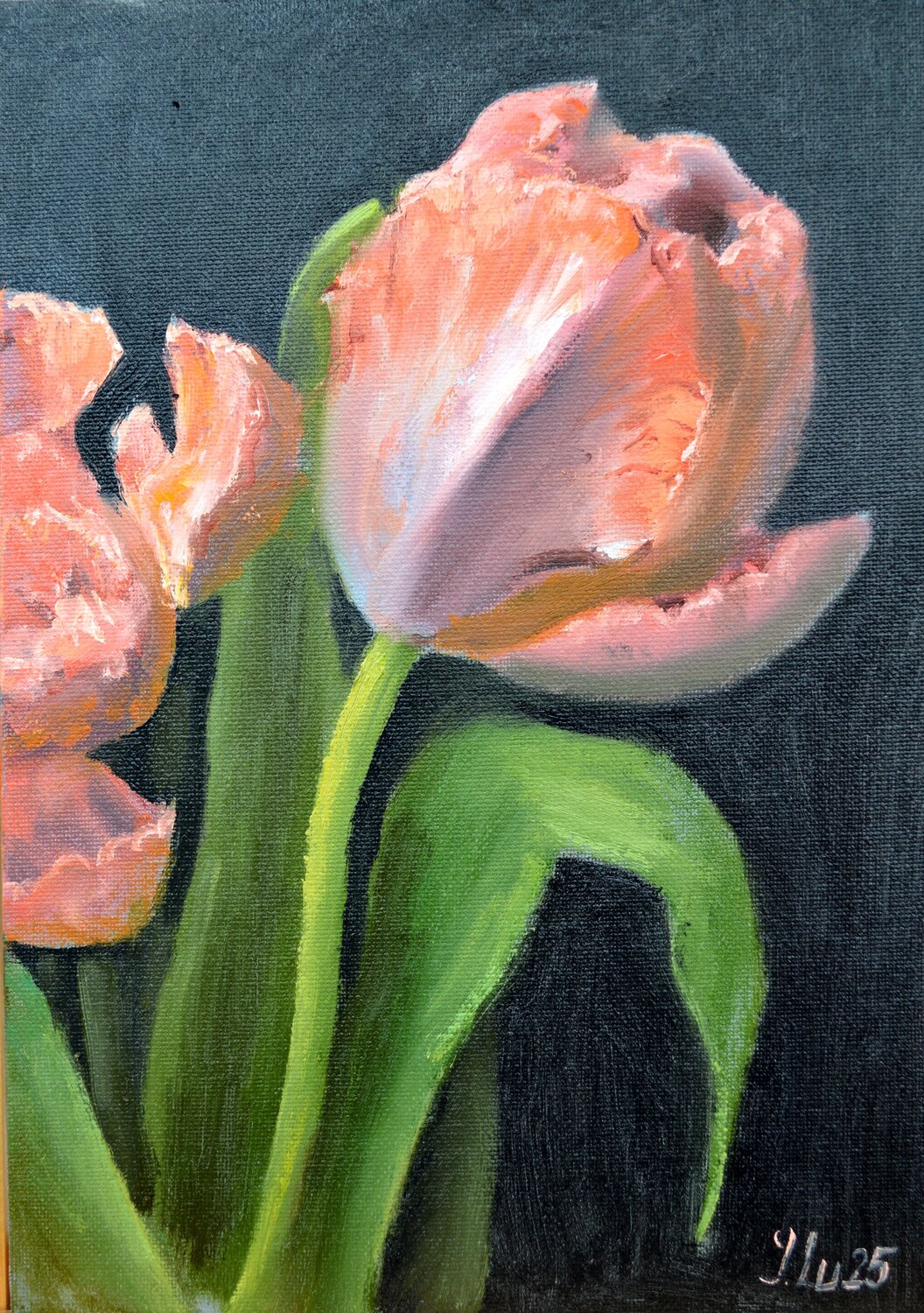 Coral tulips 4 Elena Lukina