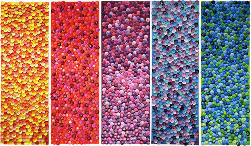 Flowerbombs set of five von Julee Latimer, Malerei kaufen auf Singulart