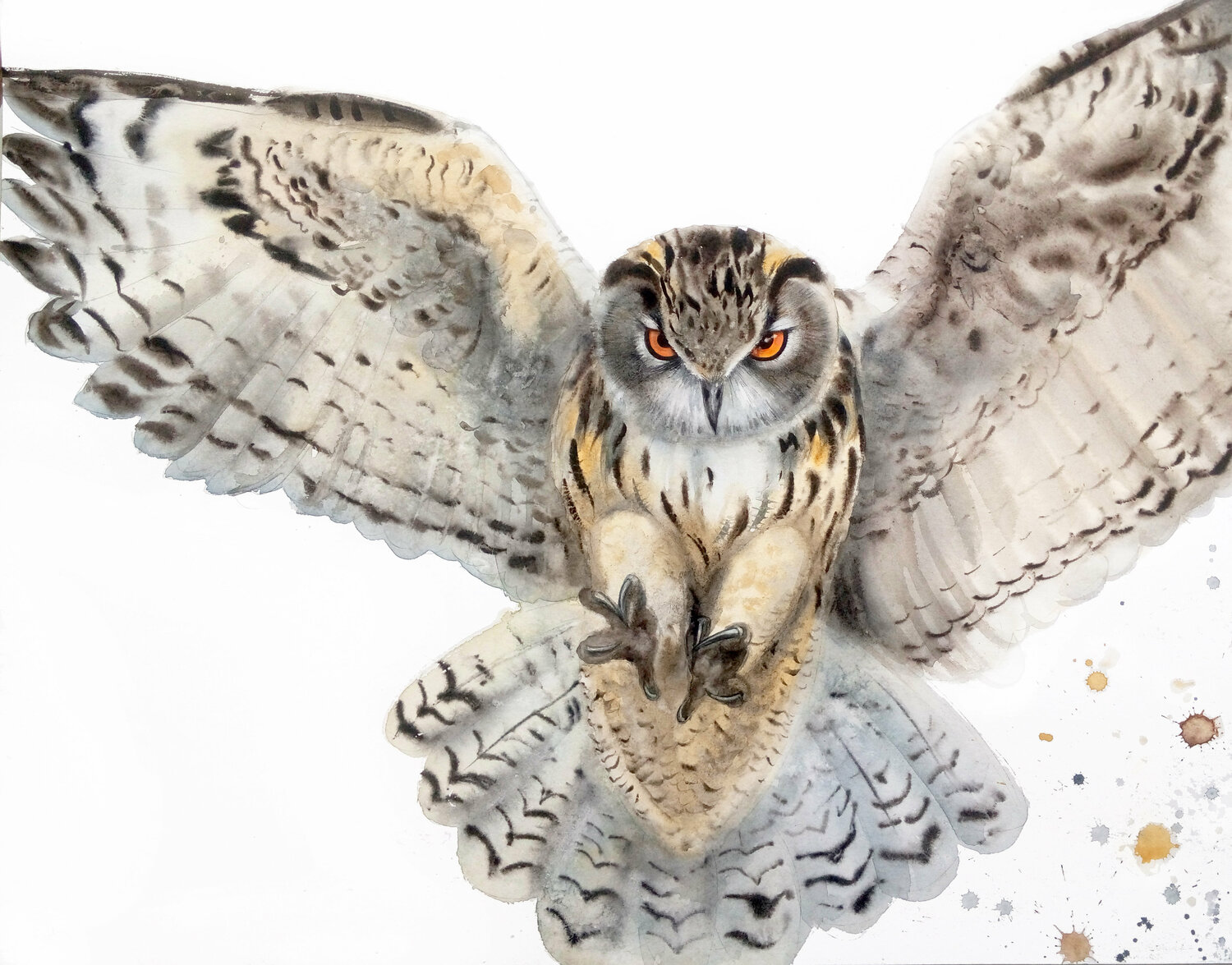 Flying Owl - Original Watercolor - Wildlife Art - Owl Painting by Olga  Beliaeva (2021) : Work on Paper Watercolor on Paper - SINGULART
