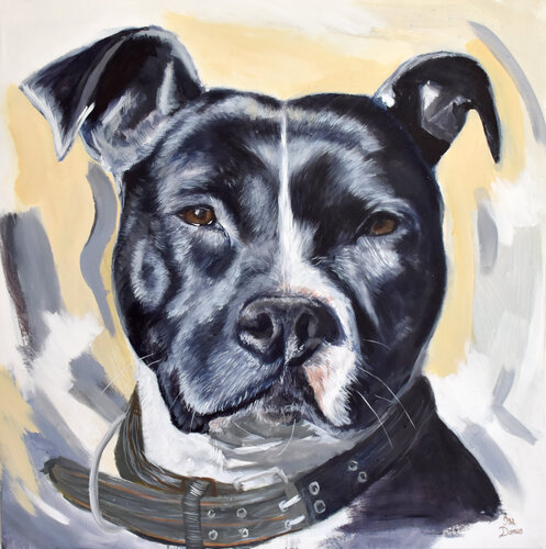 Pitbull Portrait by Isa Dorean (2022) Painting Acrylic on Canvas