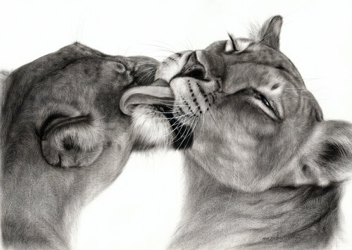 Lionesses par Danguole Serstinskaja, Œuvre sur papier en vente sur Singulart