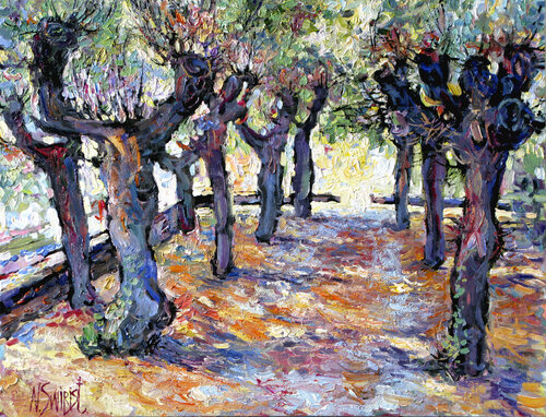 MAGIC COLORS OF THE OLD ALLEYS. Nicolai Ostapenco (N.Swiristuhi)