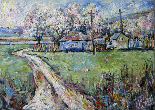 In Moldavia, apricots bloom. Nicolai Ostapenco (N.Swiristuhi)