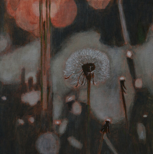 Dandelions Ana Markovic