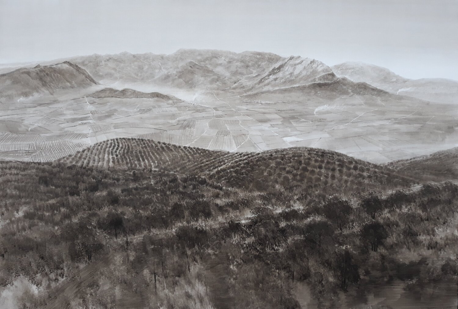 MAR DE OLIVOS Rafael Carrascal García