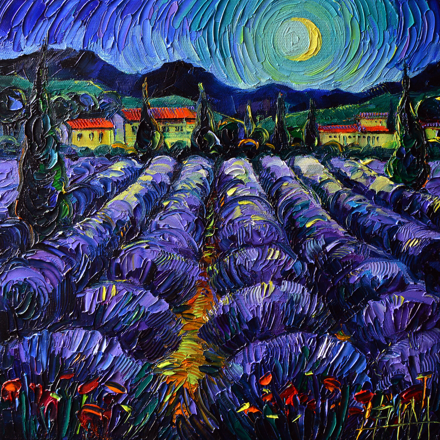 PROVENCE NIGHTS Mona Edulesco