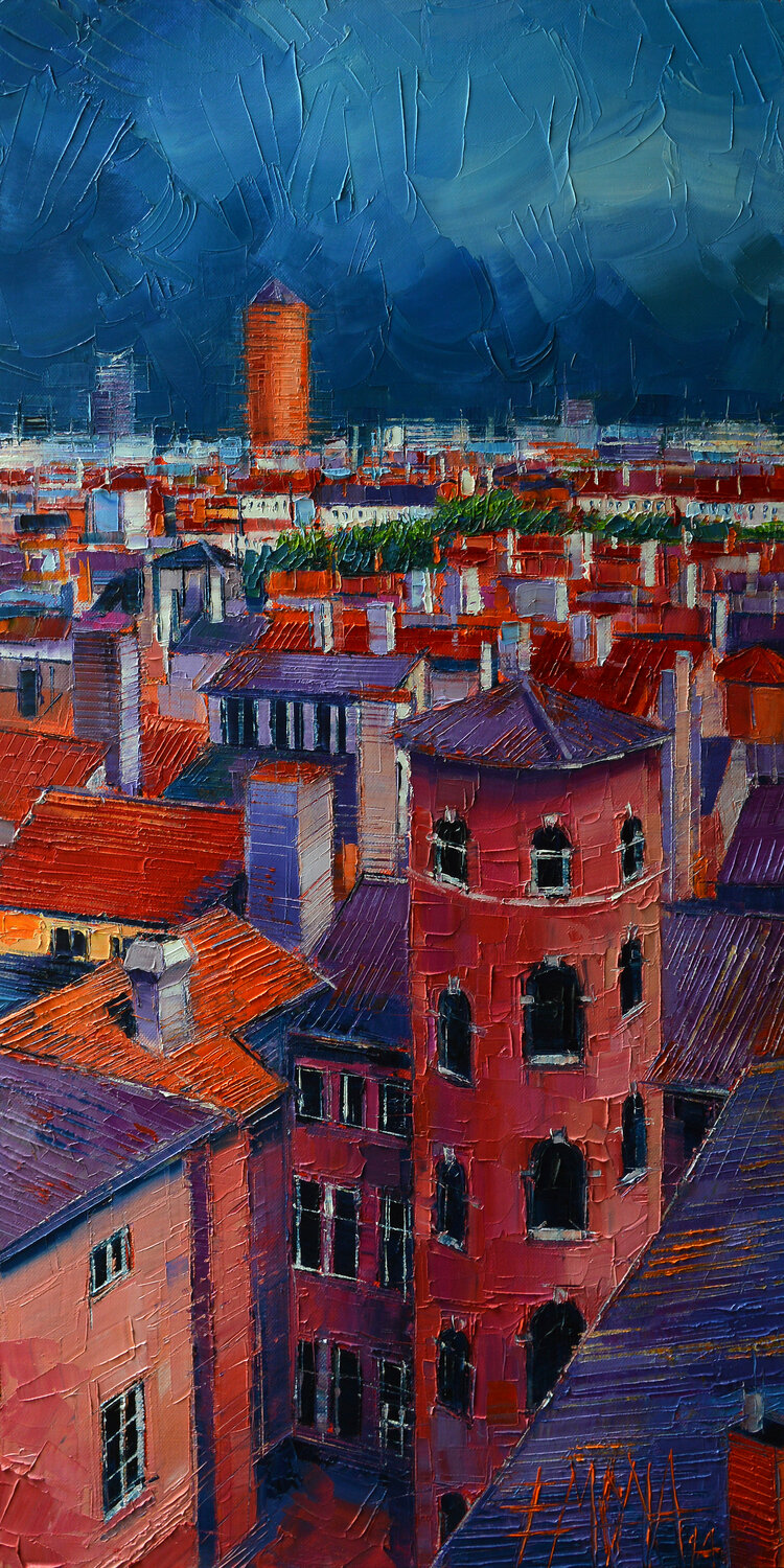 LYON ROOFTOPS Mona Edulesco
