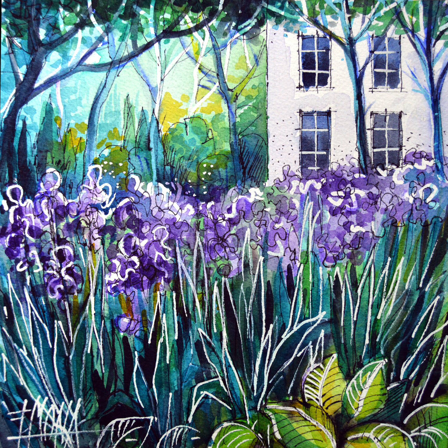 THE IRIS GARDEN watercolor painting Mona Edulesco Mona Edulesco Werk auf Papier zu verkaufen