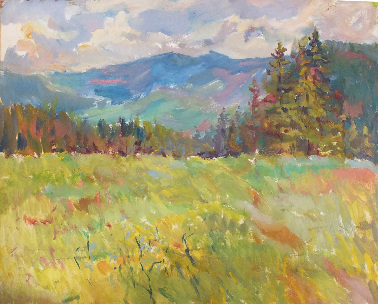 Mountains Artem Brazhnik Origineel schilderij te koop