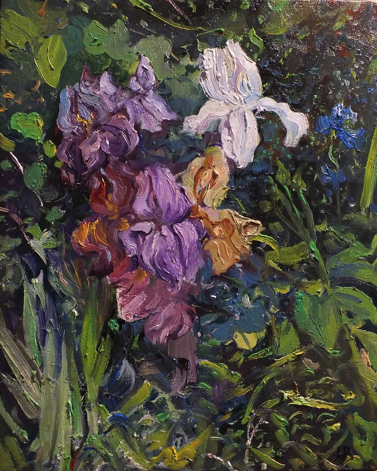 Irises Artem Brazhnik Pintura original en venta