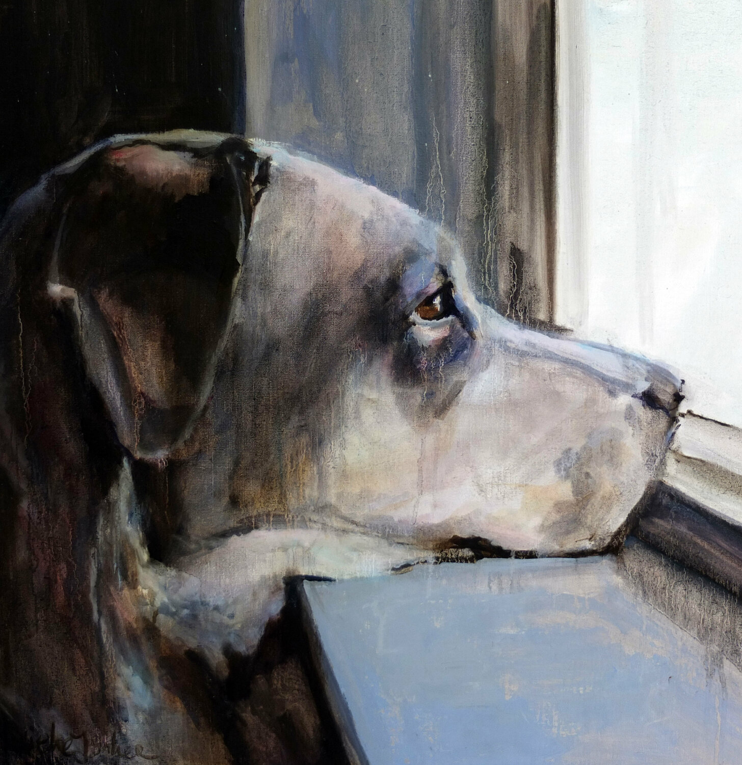 Because of the dog III Jonker Mieke