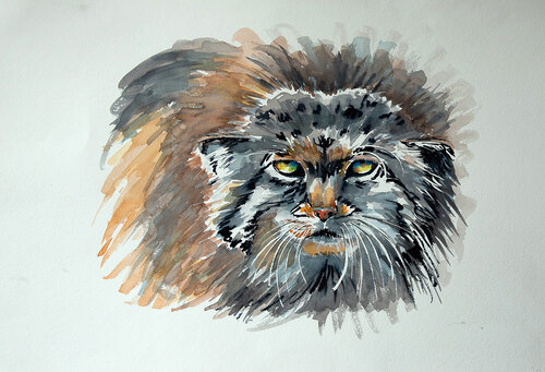 Peluche von Françoise Dugourd-Caput, Malerei kaufen auf Singulart