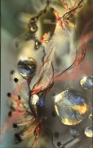 Pierre qui roule von Françoise Dugourd-Caput, Digital kaufen auf Singulart