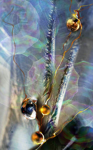 Lueur d'espoir von Françoise Dugourd-Caput, Digital kaufen auf Singulart