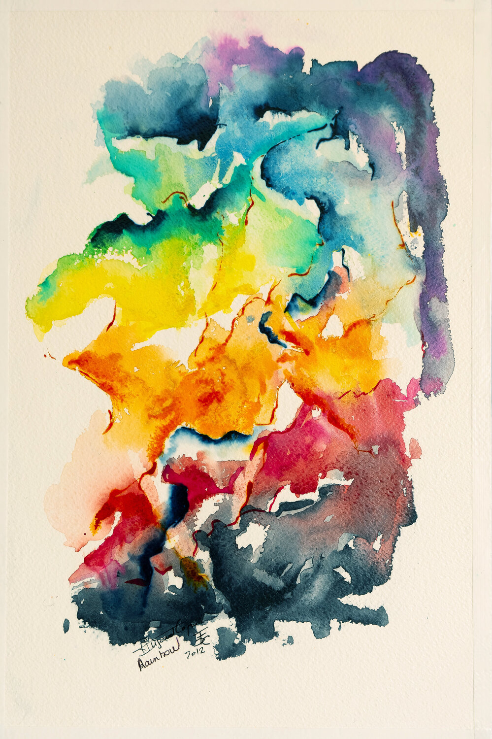 Rainbow Françoise Dugourd-Caput