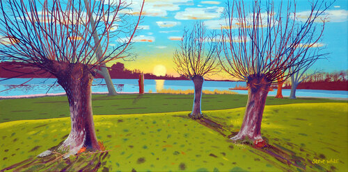 Winter in the Park Steve White