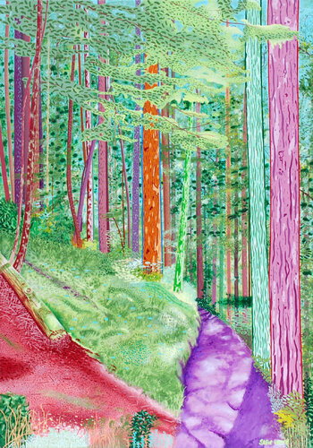 Olympic National Park, Washington State, USA von Steve White, Malerei kaufen auf Singulart