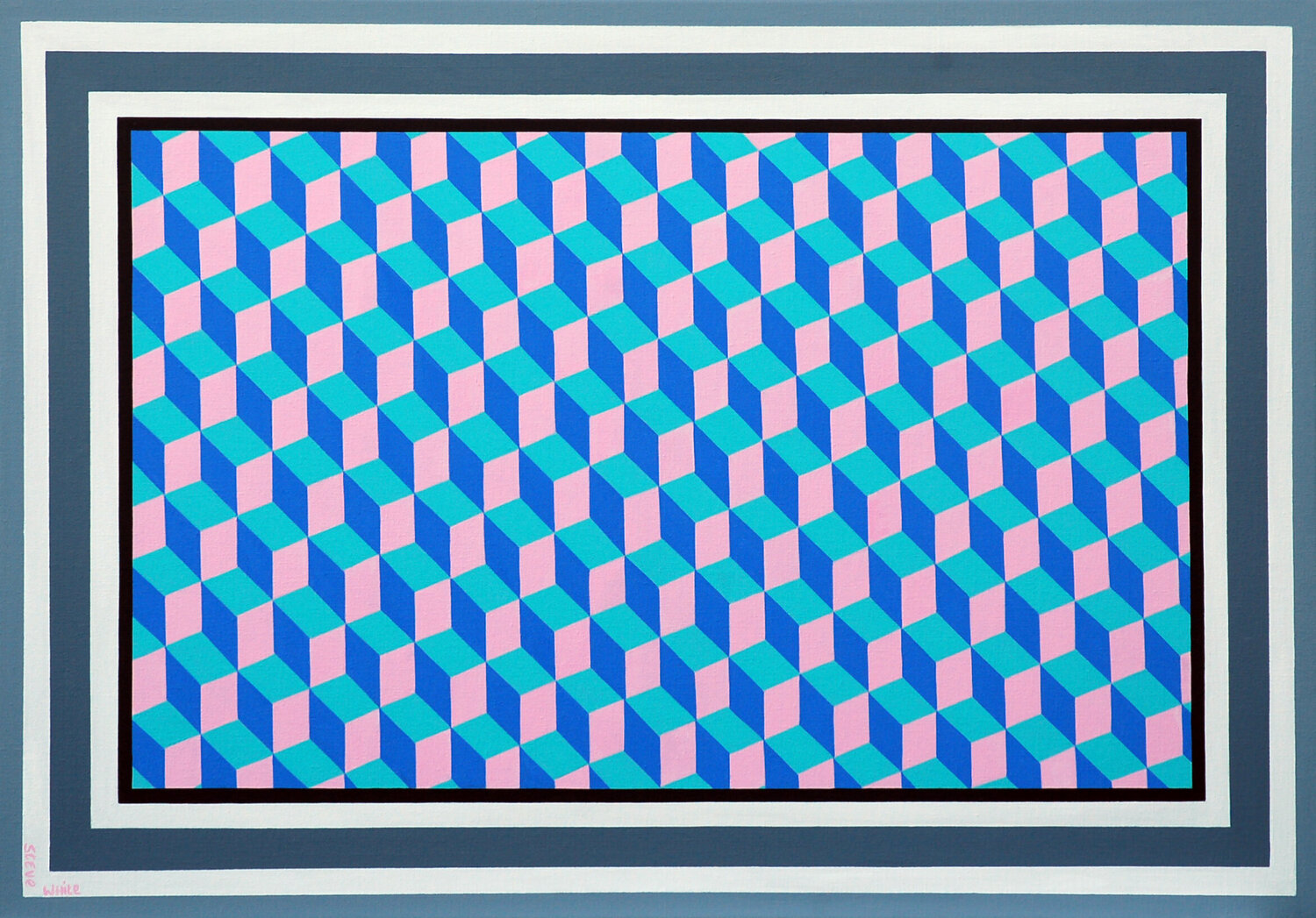 3Dpicture. 2Dframe. Steve White