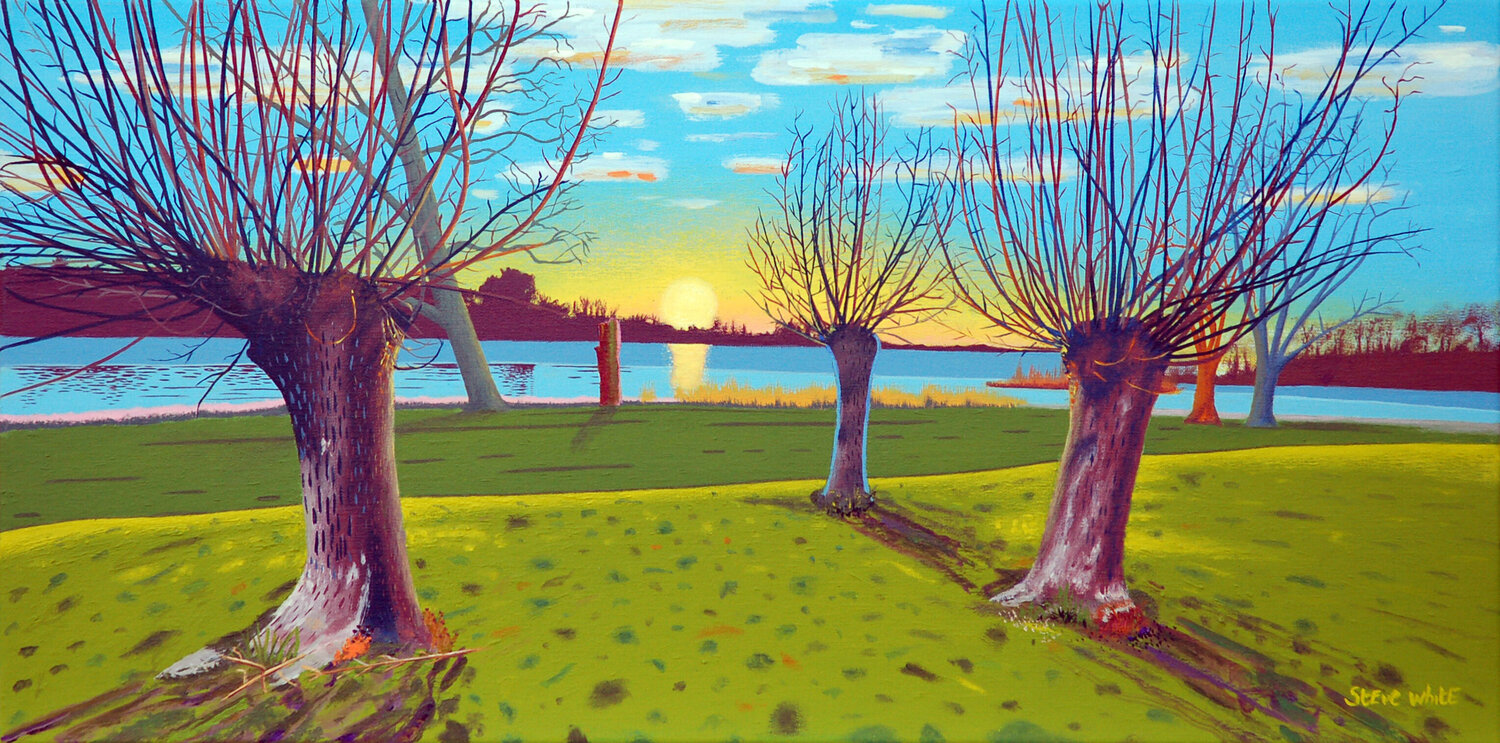 Winter in the Park Steve White