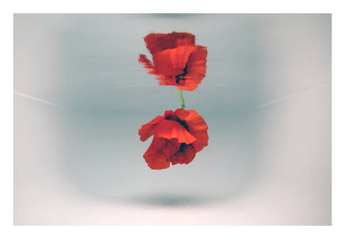 introspection - point de départ van Robin Cerutti, Fotografie te koop op Singulart