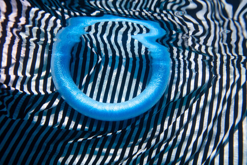 Natural Digital - Pulse - 4246 van Robin Cerutti, Fotografie te koop op Singulart