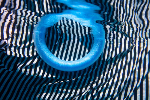 Natural Digital - Pulse - 4247 van Robin Cerutti, Fotografie te koop op Singulart