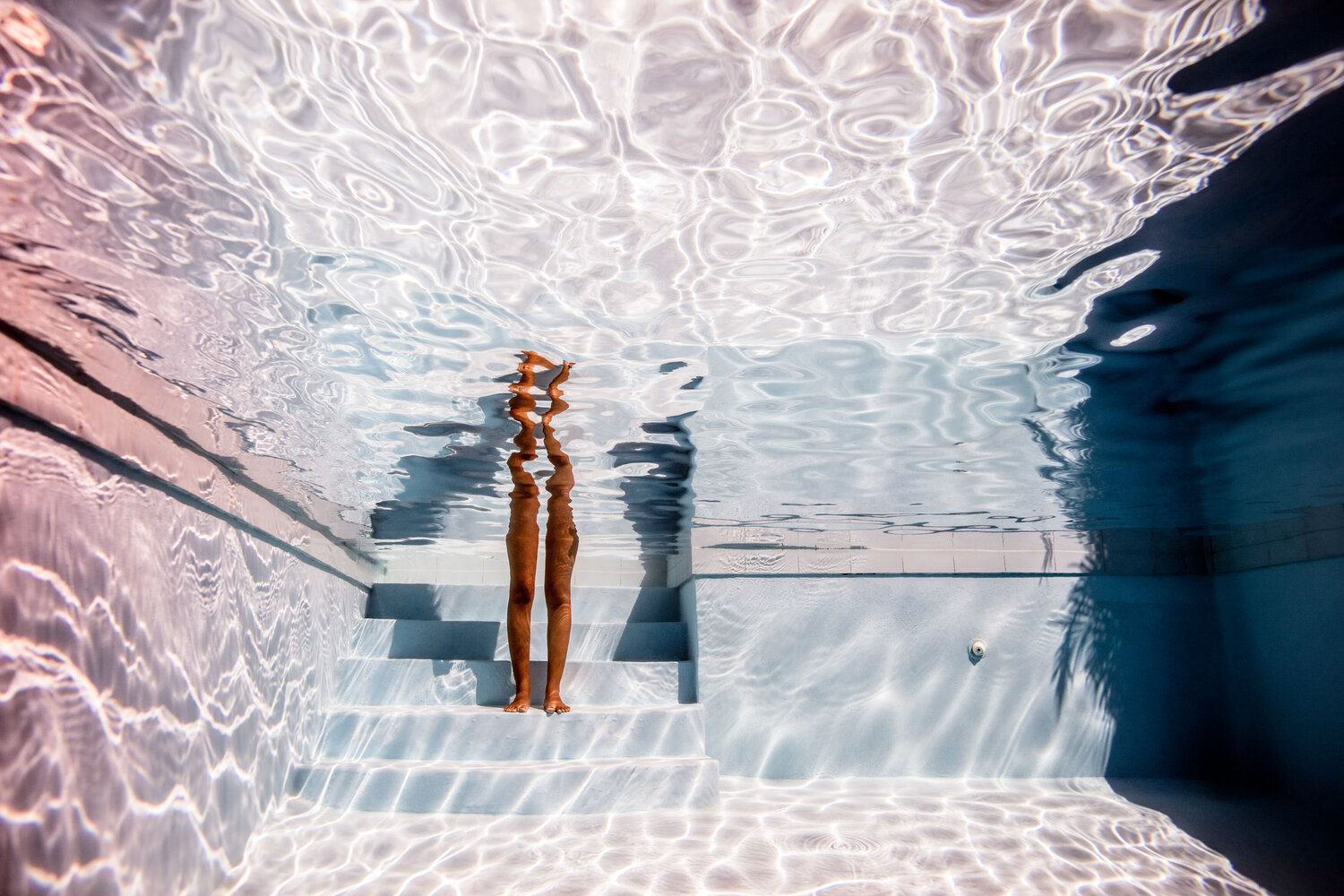 Mirror - aw - 3681 Robin Cerutti