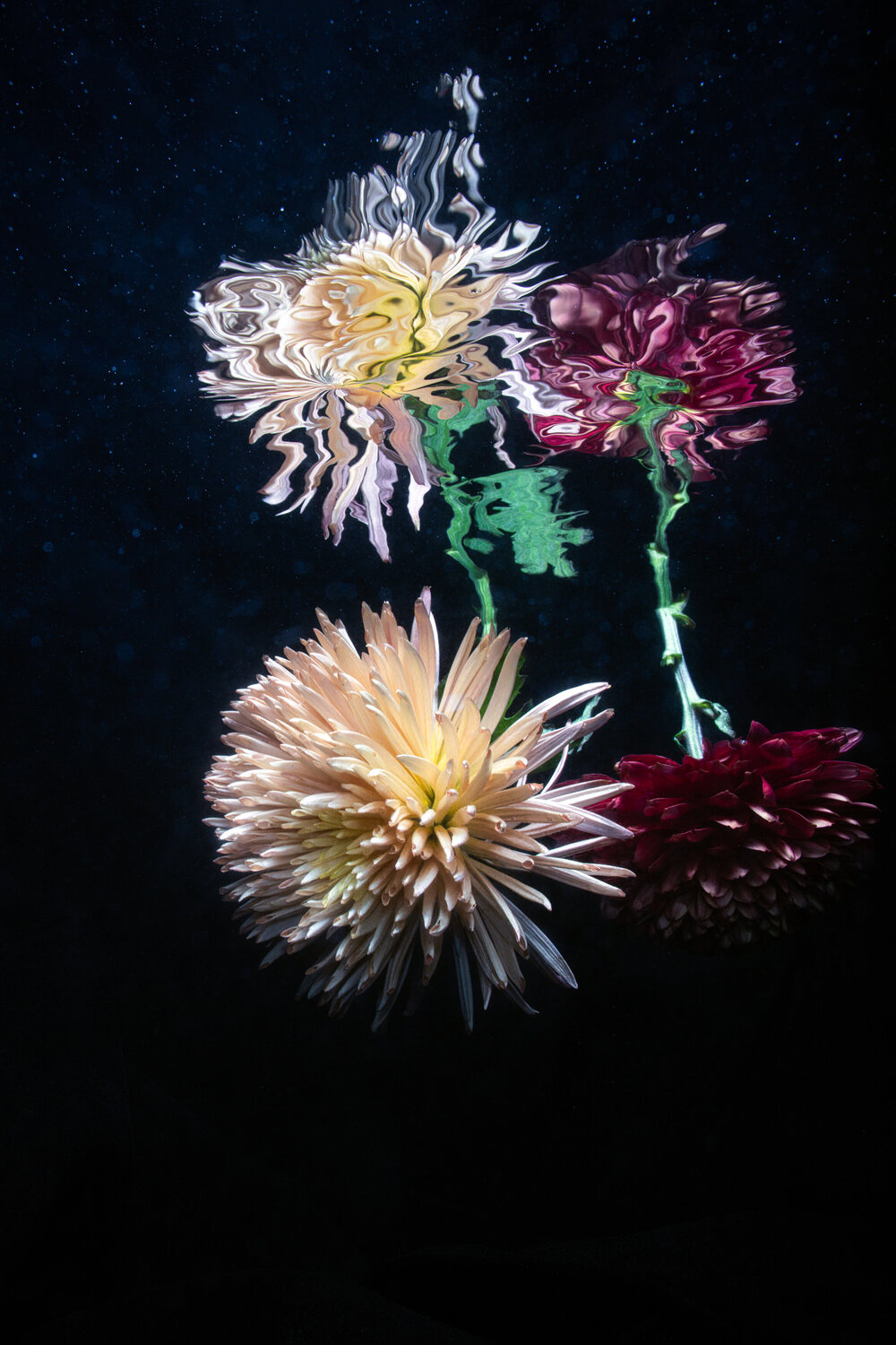 Natural Digital - Duet Robin Cerutti