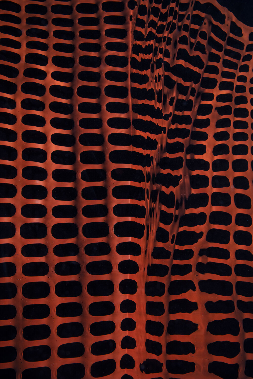 introspection - unfolding Robin Cerutti