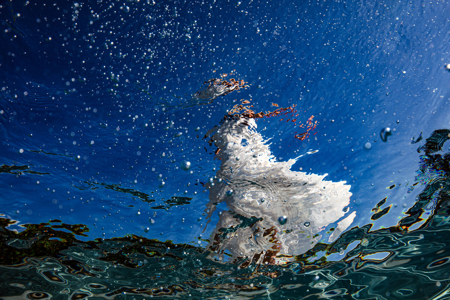 Lookup – ML Summer 6739 Robin Cerutti