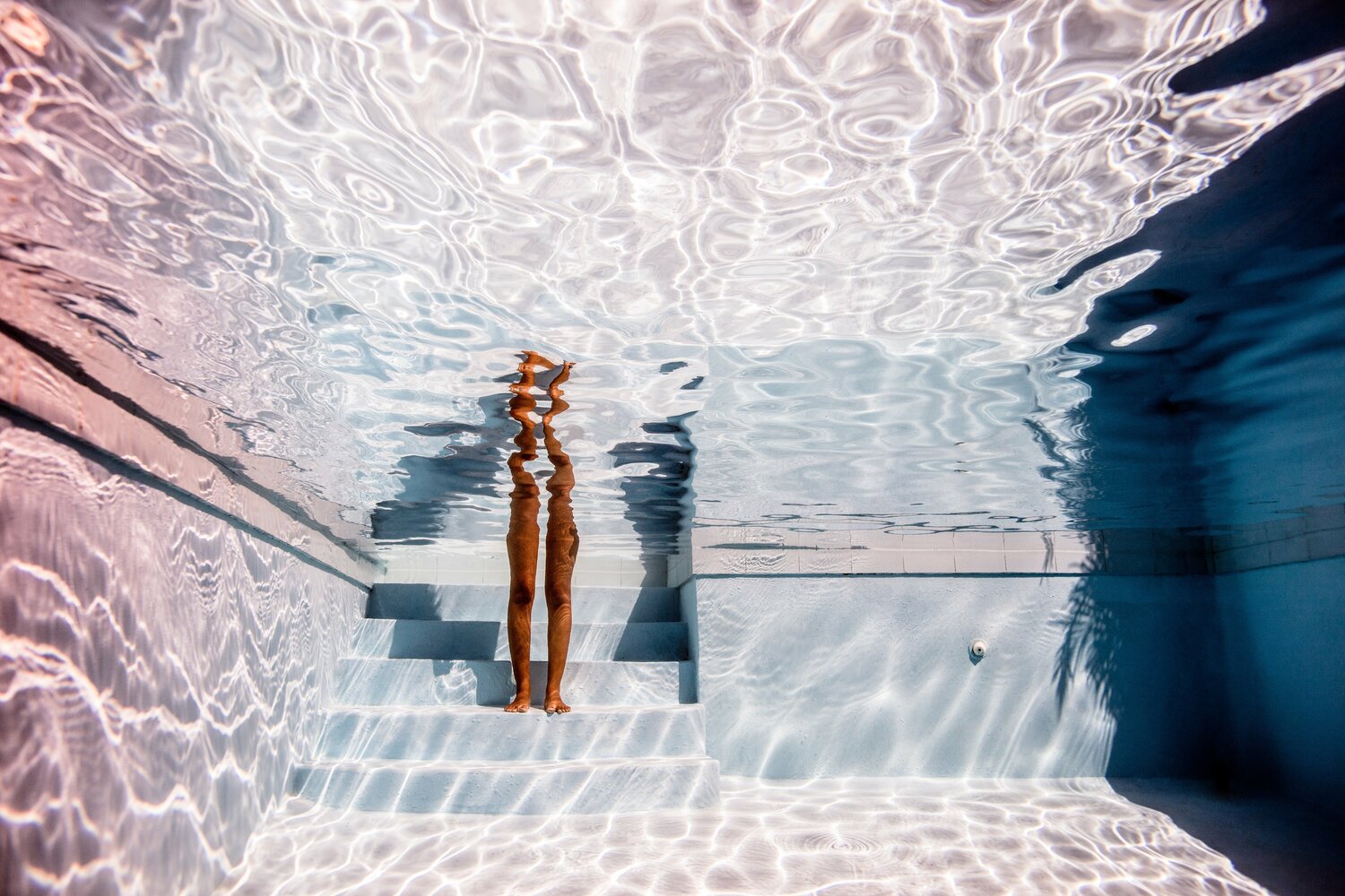 Mirror - aw - 3681           (16x24 in) Robin Cerutti