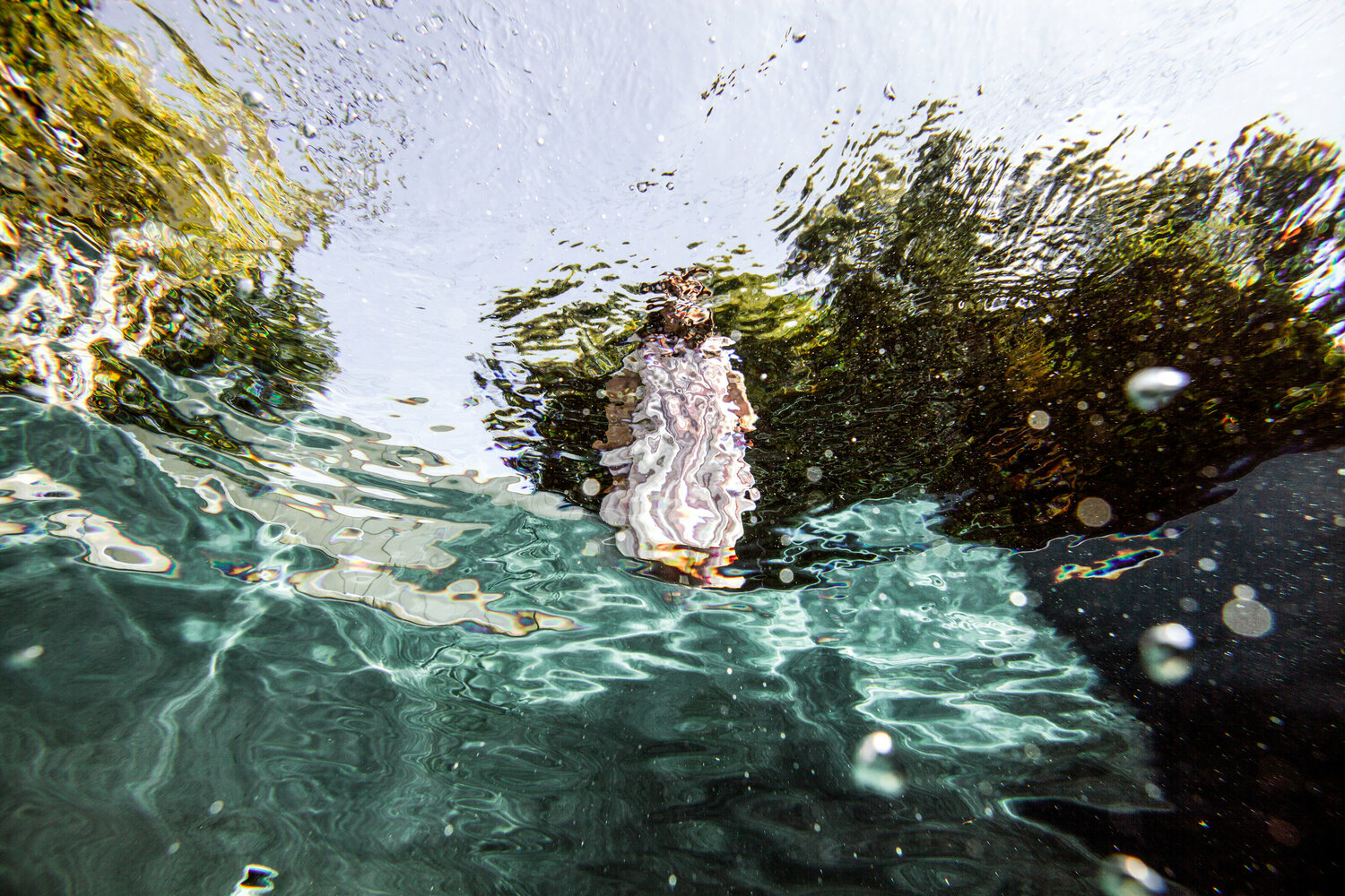 lookup - doldrums Robin Cerutti