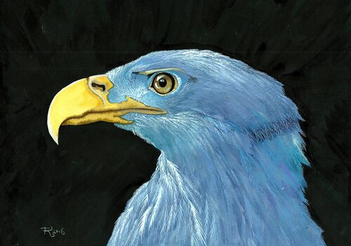 Eagle di Terri Smith, Opera su carta in vendita su Singulart