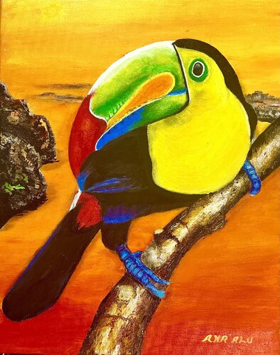 Morning Toucan di Andy Hollimon, Pittura in vendita su Singulart