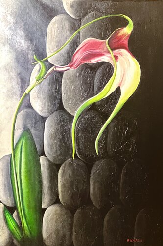 Ghost Orchid van Andy Hollimon, Schilderij te koop op Singulart