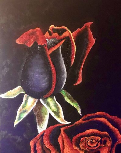 Black Roses van Andy Hollimon, Schilderij te koop op Singulart