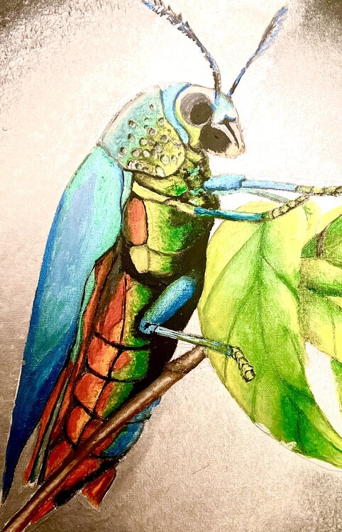 The Jewel Beetle Andy Hollimon