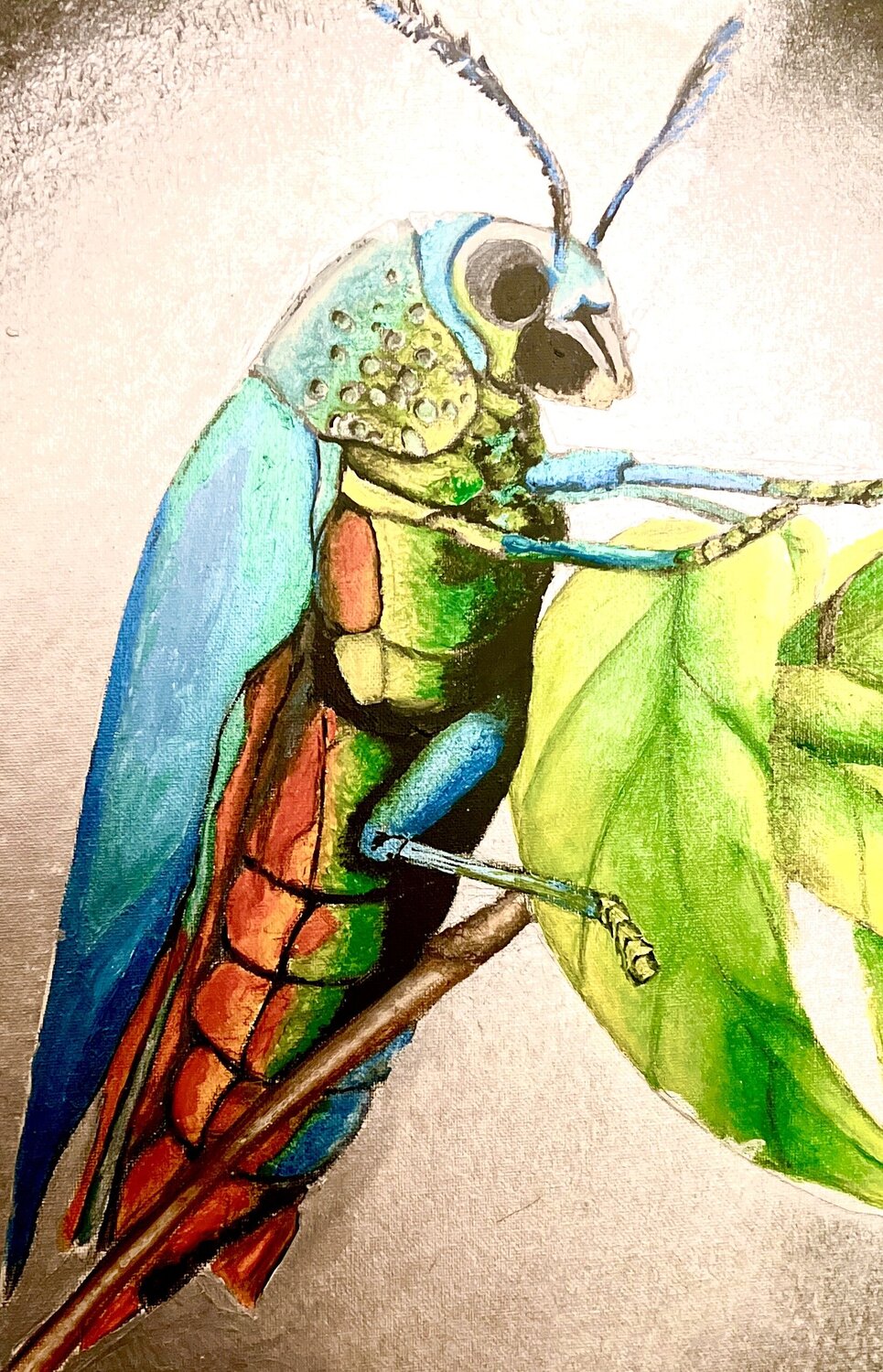 The Jewel Beetle Andy Hollimon