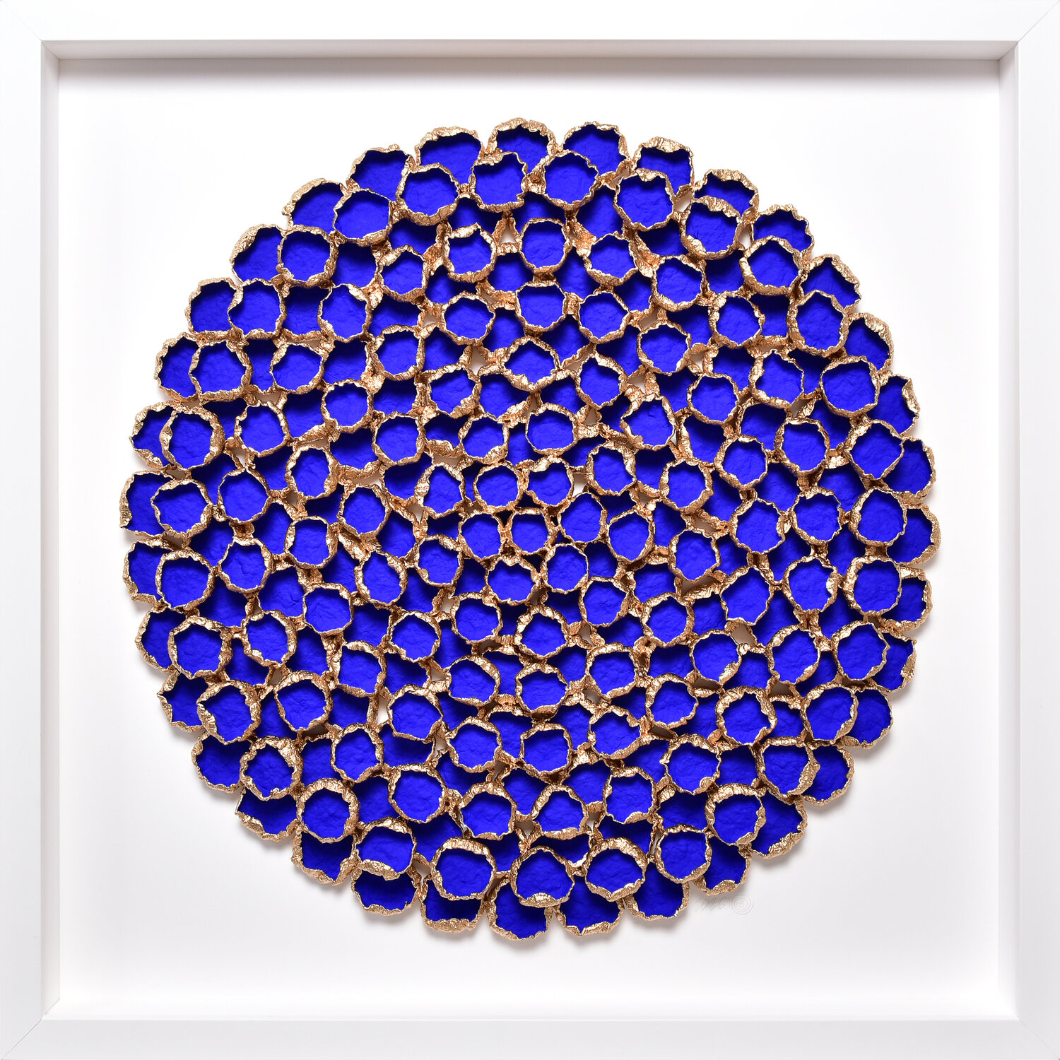 Bloom #23 Olga Skorokhod