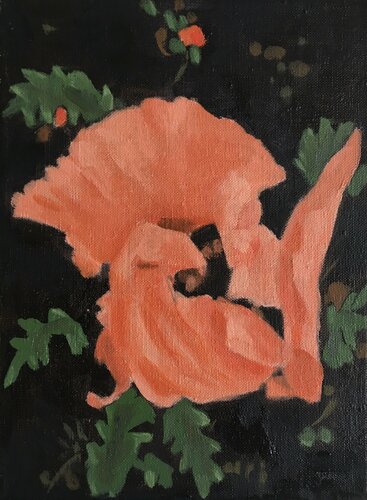Poppy di Alison Chambers, Pittura in vendita su Singulart