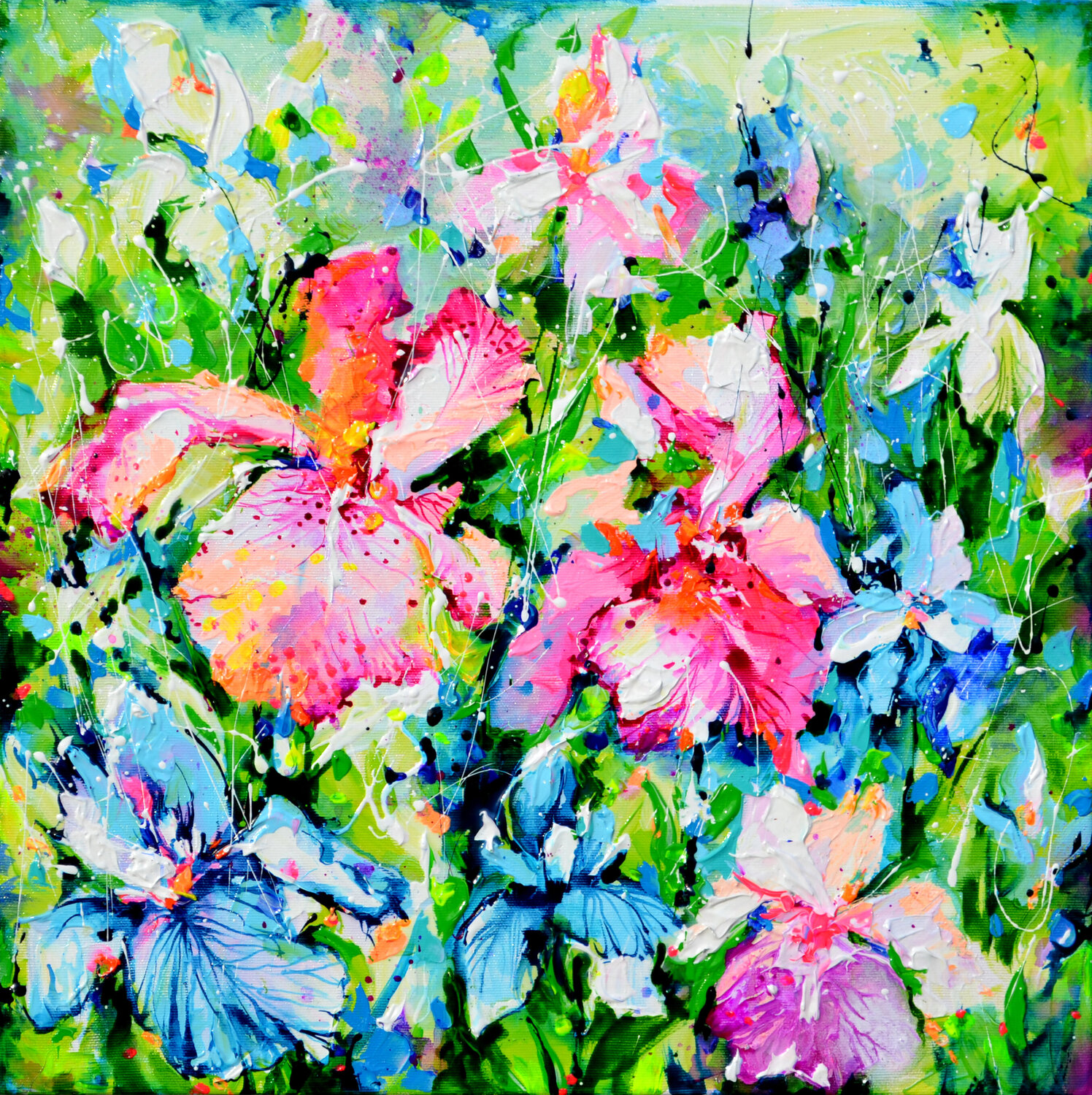Iris Flower Field Roxana Soos