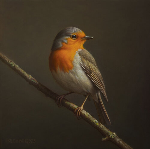 European Robin Albert Kechyan