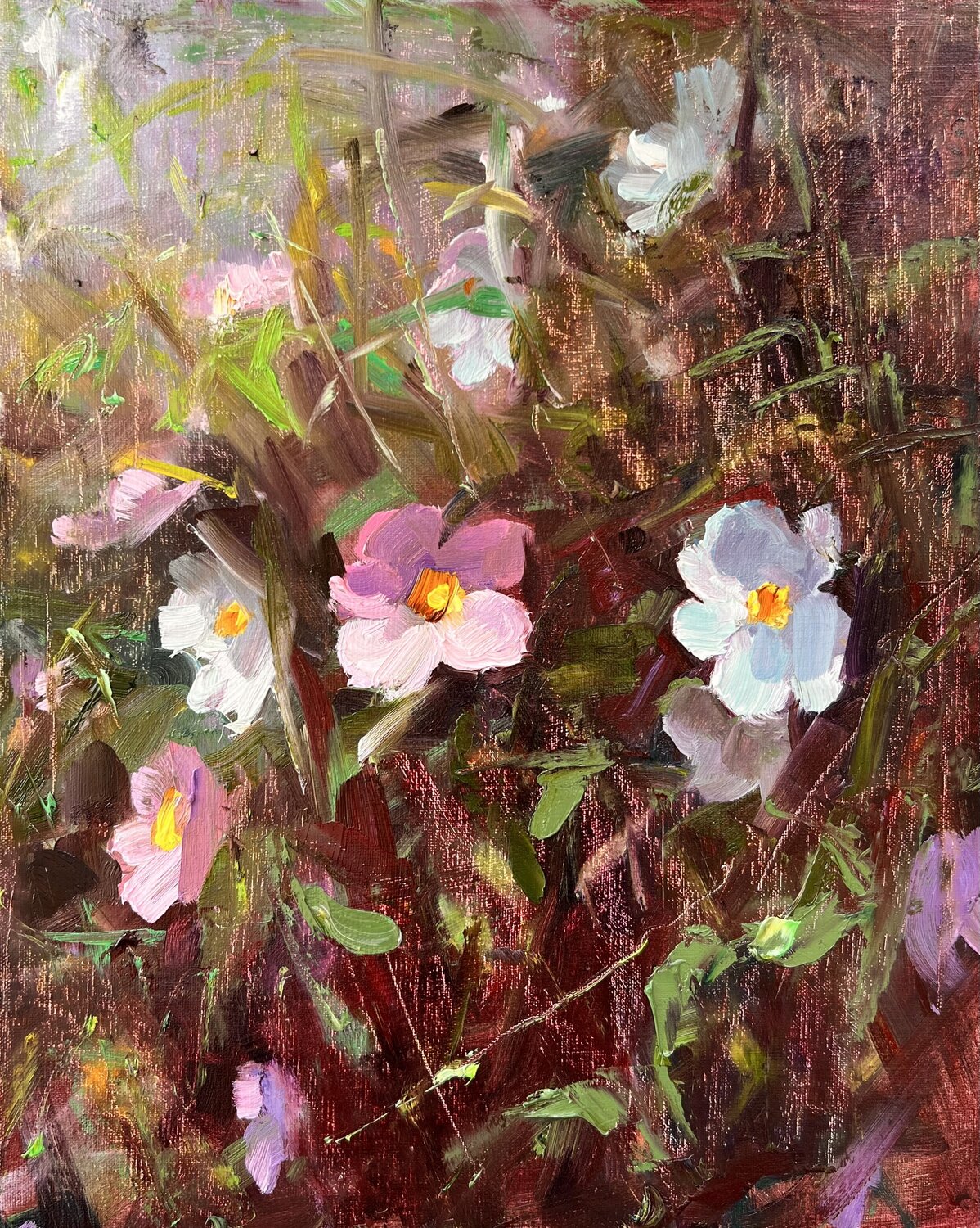 Spring Cosmos Deana Evstefeeva